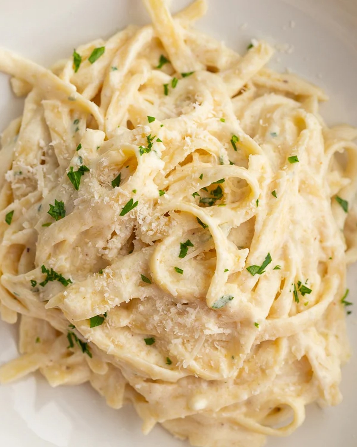 Fettuccine Alfredo at Touch of Tuscany